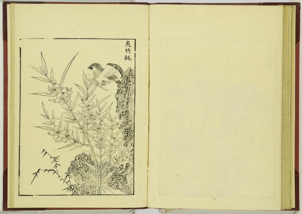 图片[44]-illustrated book; print BM-1915-0823-0.242-China Archive